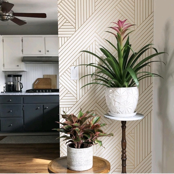 Project 62 Wall Decor Project 62 Metallic Ribbon Peel Stick